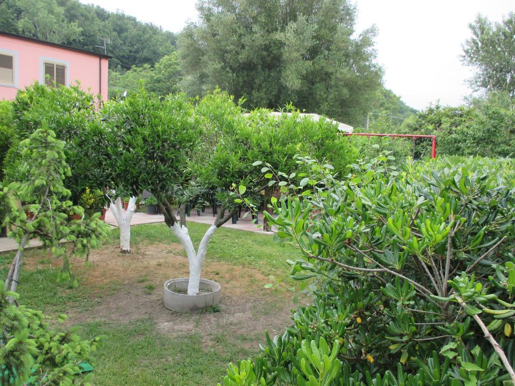 Palinuro Casa Vacanze "Donna Antonia" Extérieur photo